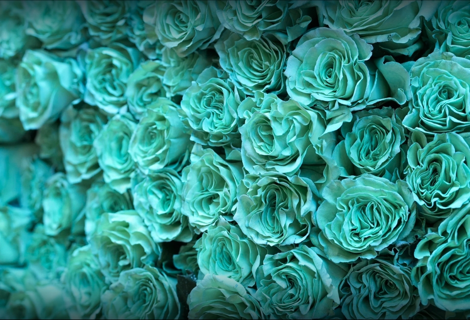 Imagen del banner