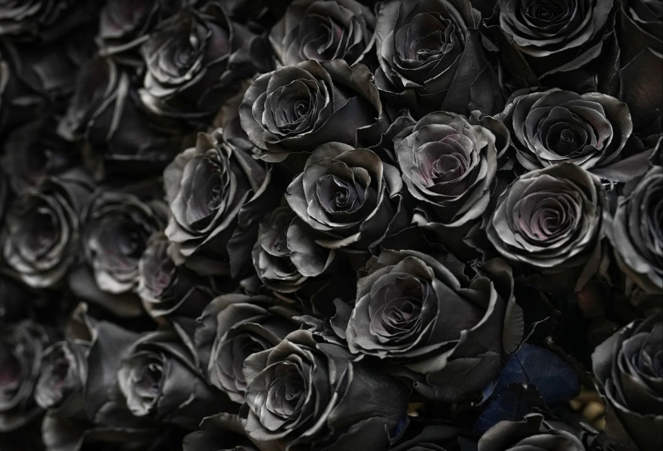 Imagen del banner